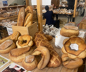 2025年11月 函館パンイベント（函館蔦屋書店）